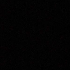 Meet your Posher, Hayden